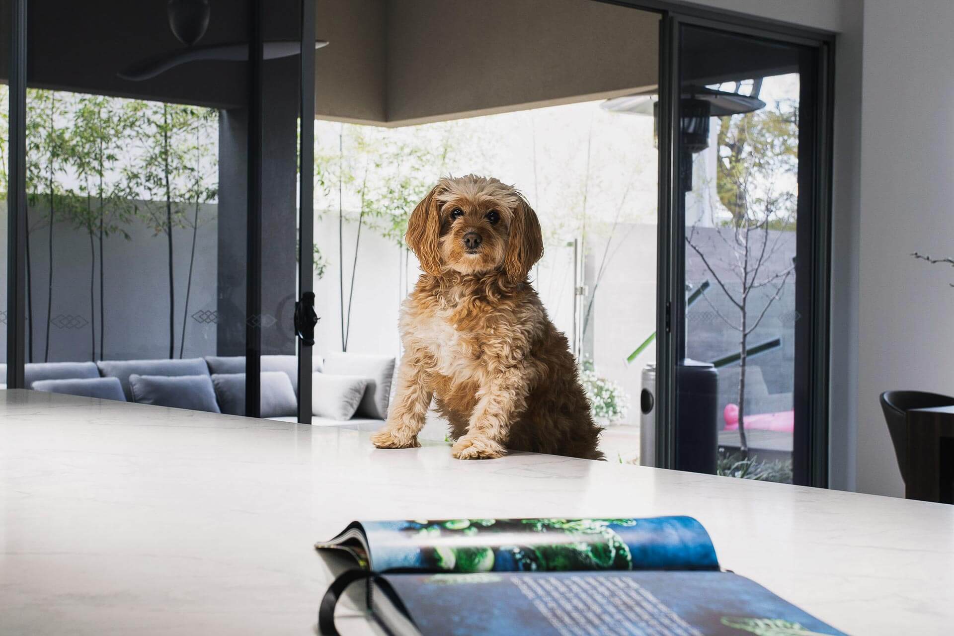 WEB 4 Walney Way, Dianella 11